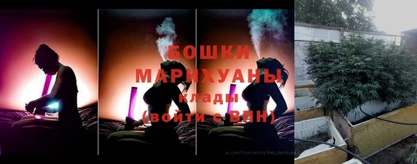 шишки Армянск