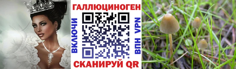 Псилоцибиновые грибы GOLDEN TEACHER  Калтан 